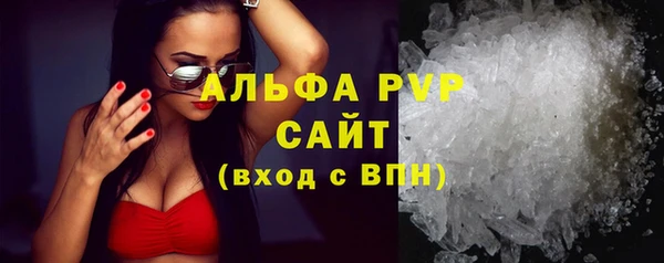 прущие грибы Покровск