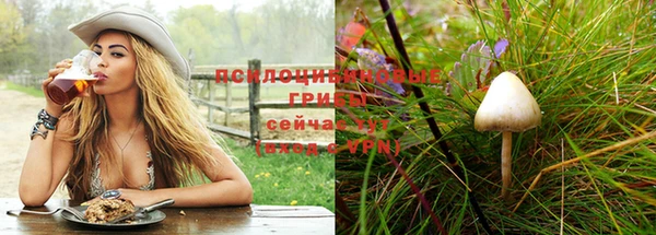 кокс Абинск