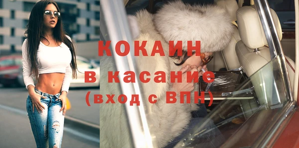прущие грибы Покровск