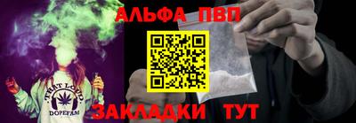 Альфа ПВП Ярославль