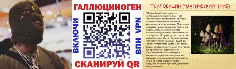 Галлюциногенные грибы Psilocybine cubensis  Анапа 