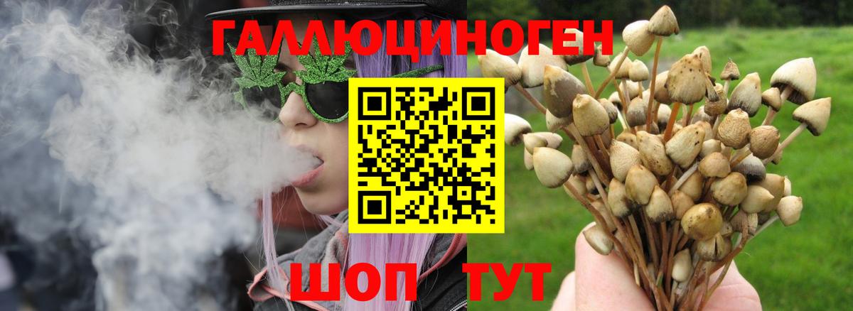 Галлюциногенные грибы ЛСД Анапа
